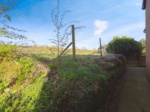 Rear garden- click for photo gallery